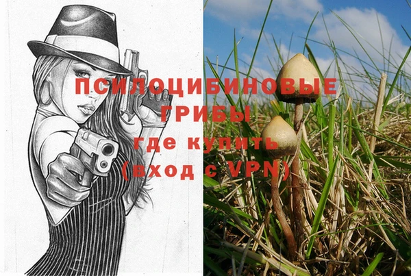 ГАЛЛЮЦИНОГЕННЫЕ ГРИБЫ Верхнеуральск